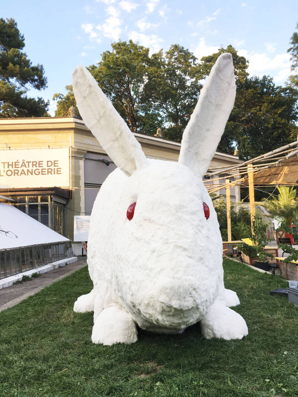 LE GRAND LAPIN BLANC AU TO